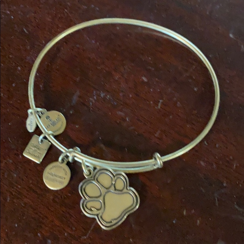 Alex and Ani bracelet